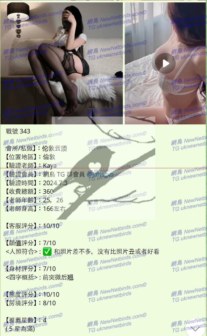 戰號 343 2.png